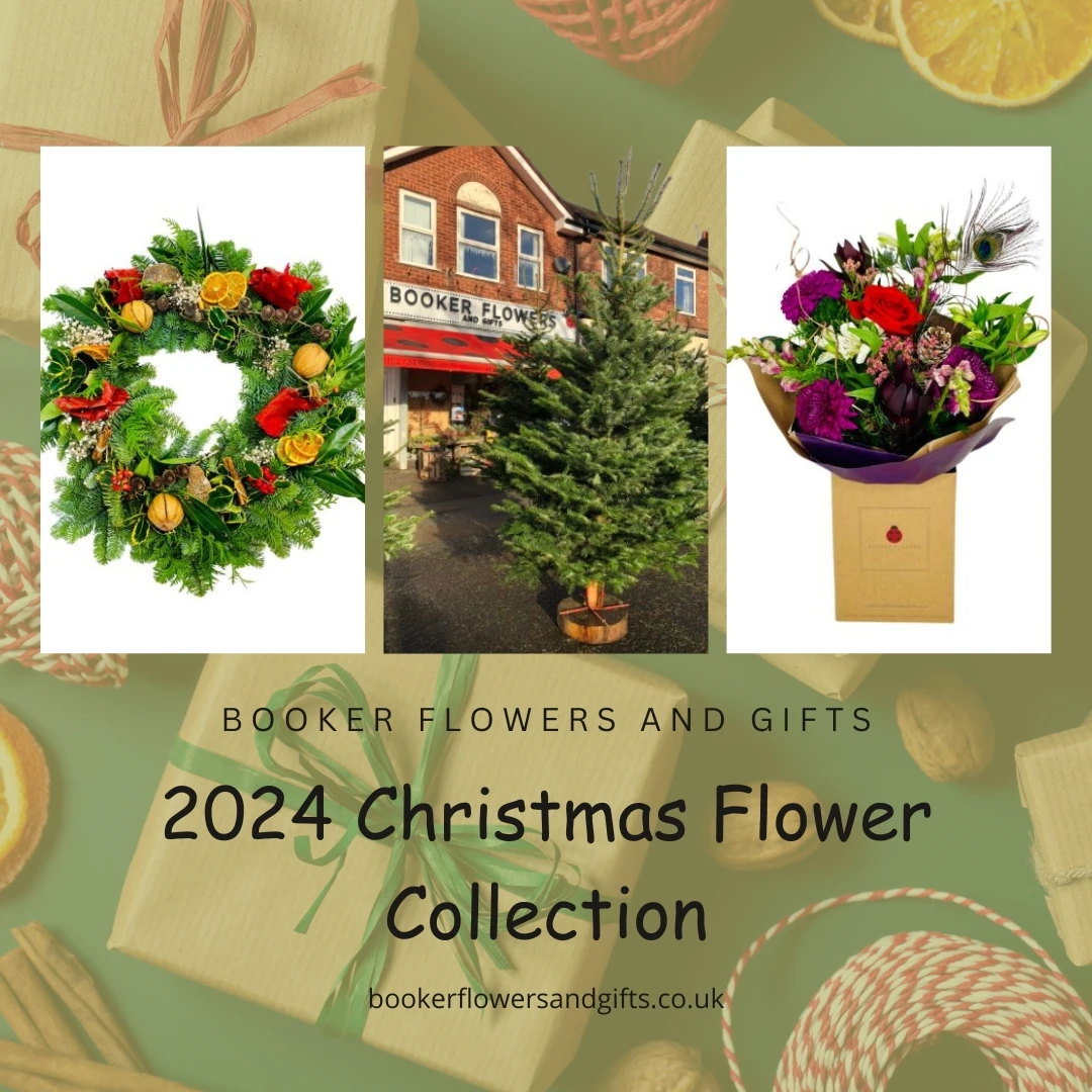 Christmas Flower Collection Christmas Flowers Delivered Liverpool